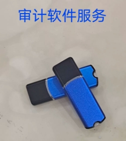 新纪元审计软件13.1审计软件加密狗事务所专用版